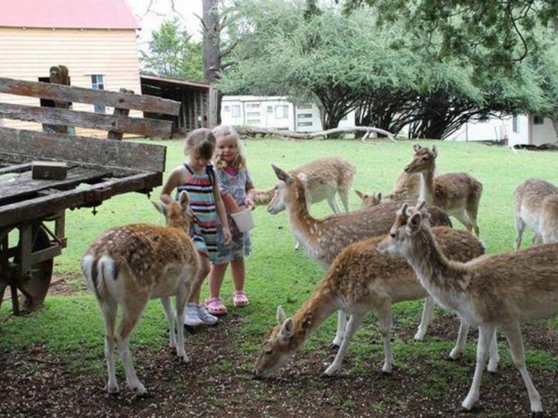 Deer Park Motor Inn Armidale Bagian luar foto